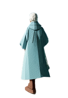 Wanderer on the path